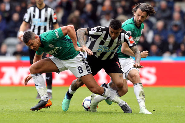 球队贡献了 球队贡献了